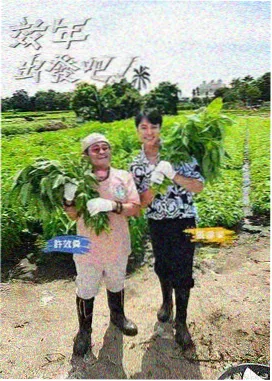 恋爱变量封面